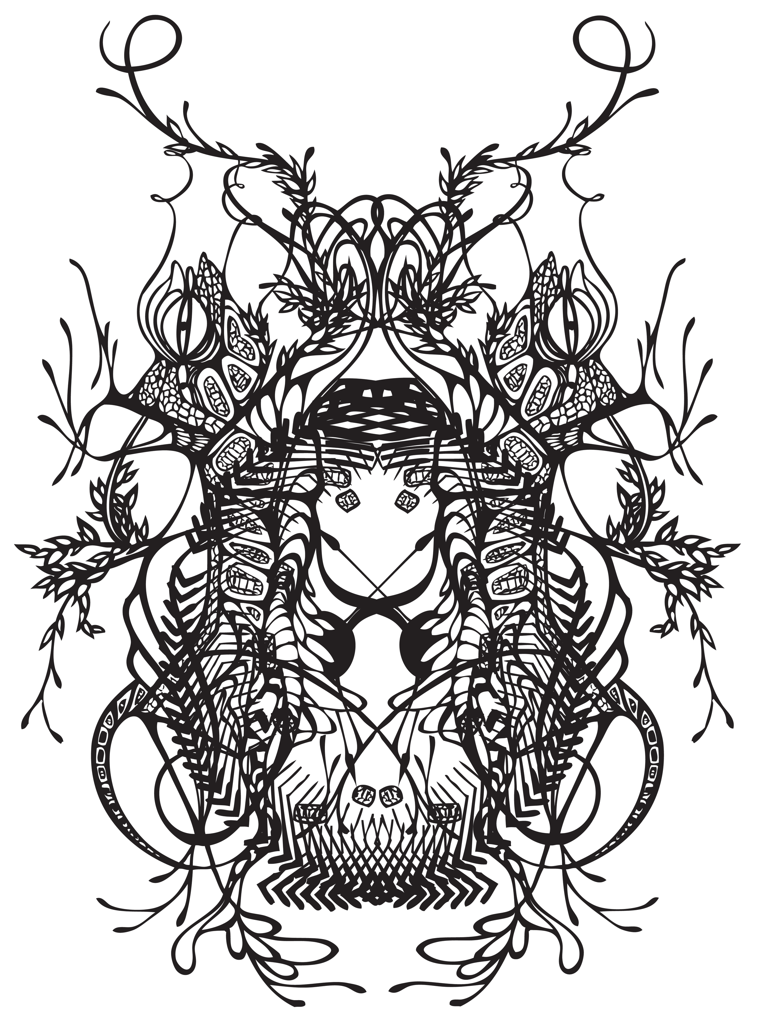 line beetle.jpg