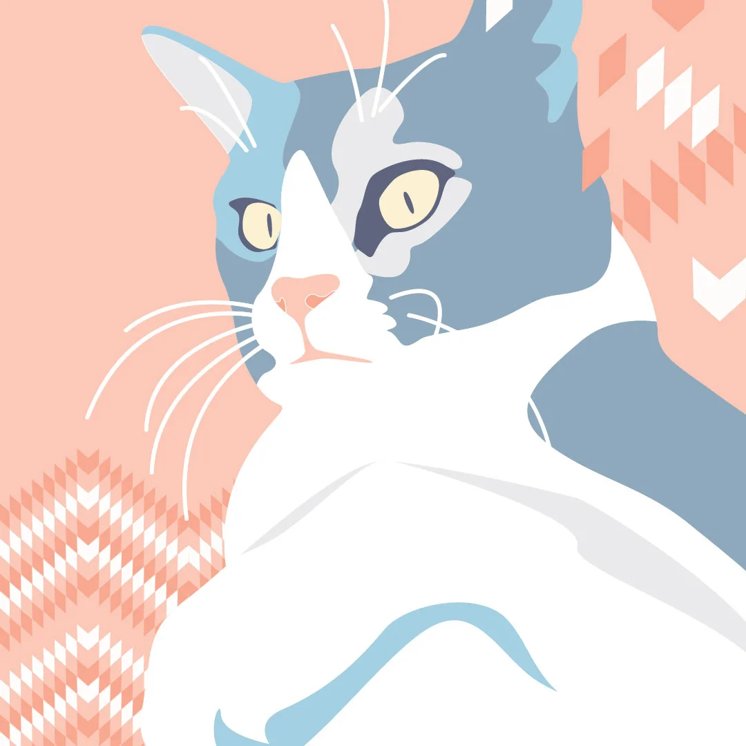 scardycat.jpg