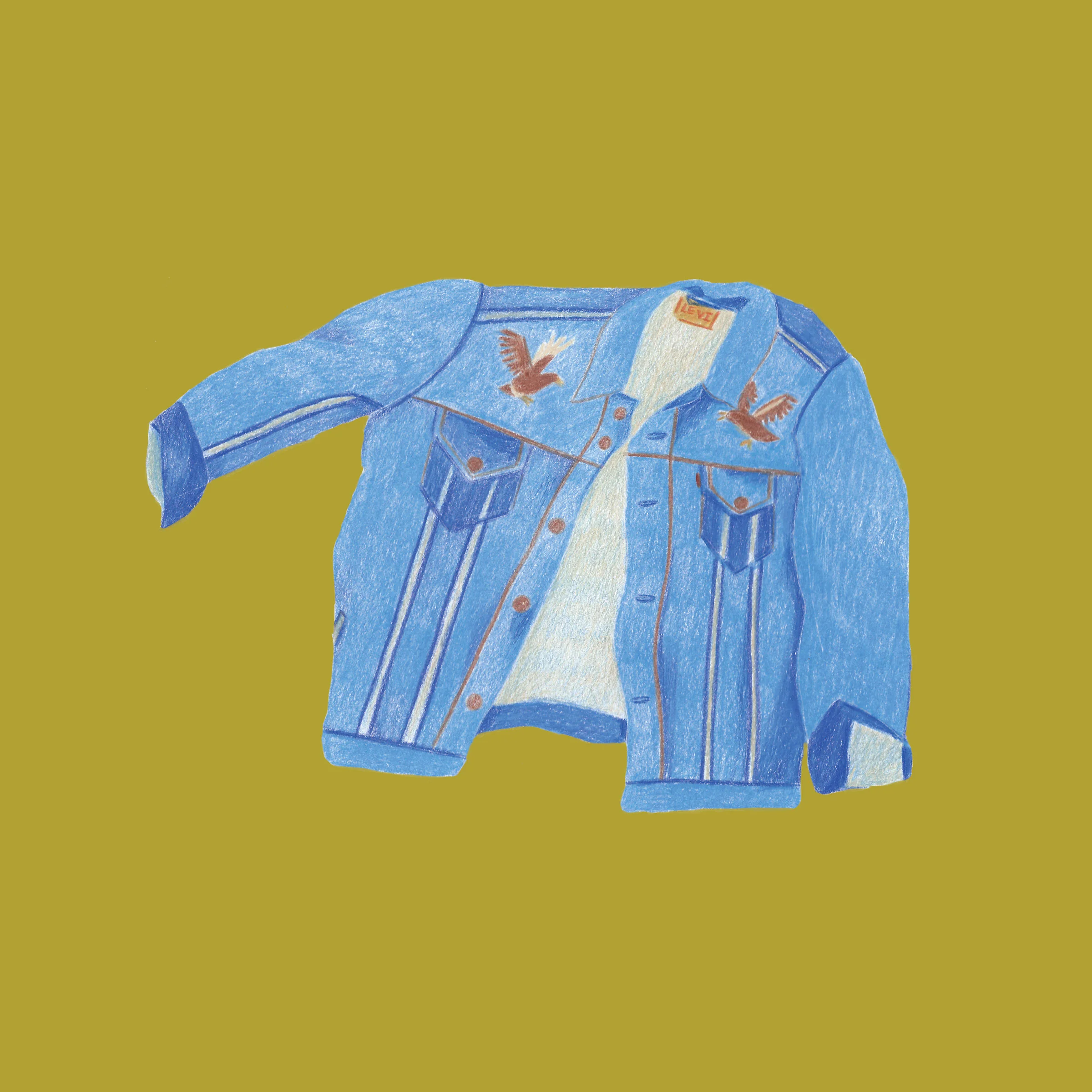 An illustration of my favorite jacket. || Color pencil, Photoshop ||