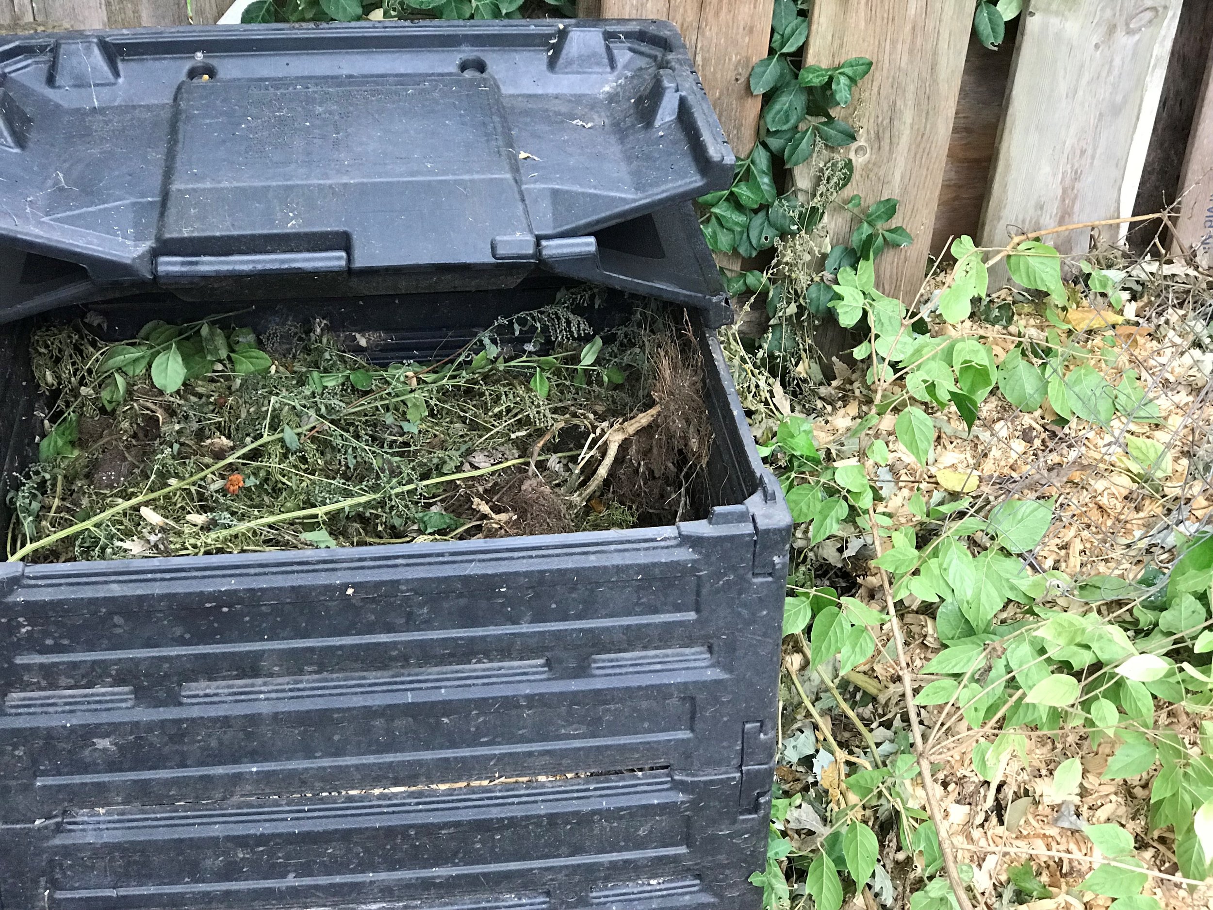 Compost bin.jpg