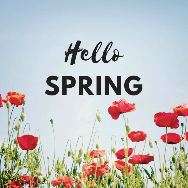 Hello spring.png