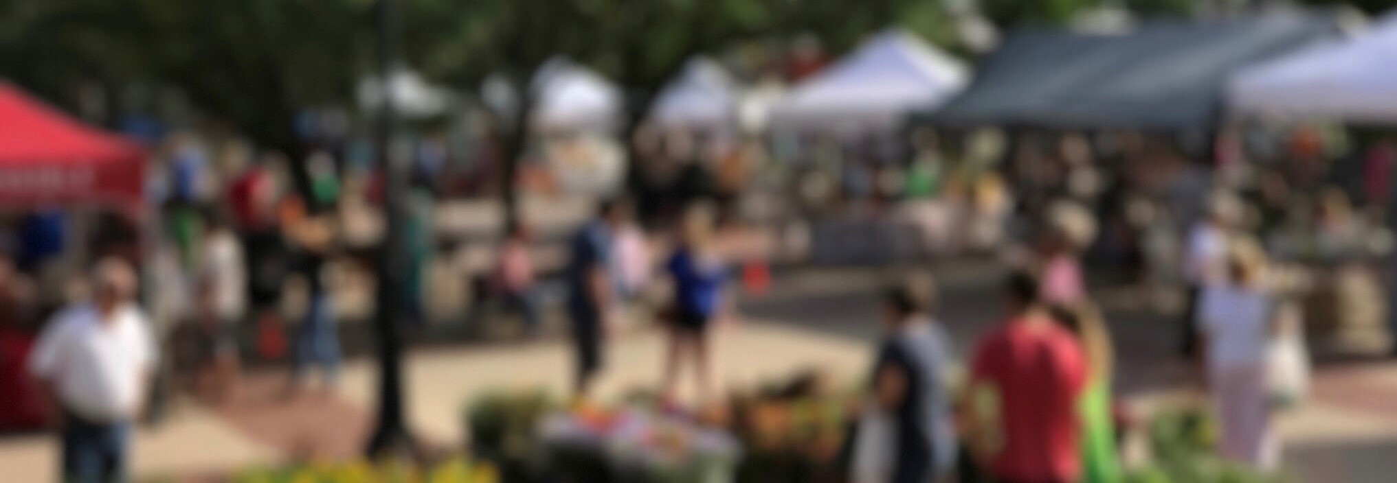 market pic blury-people.jpg