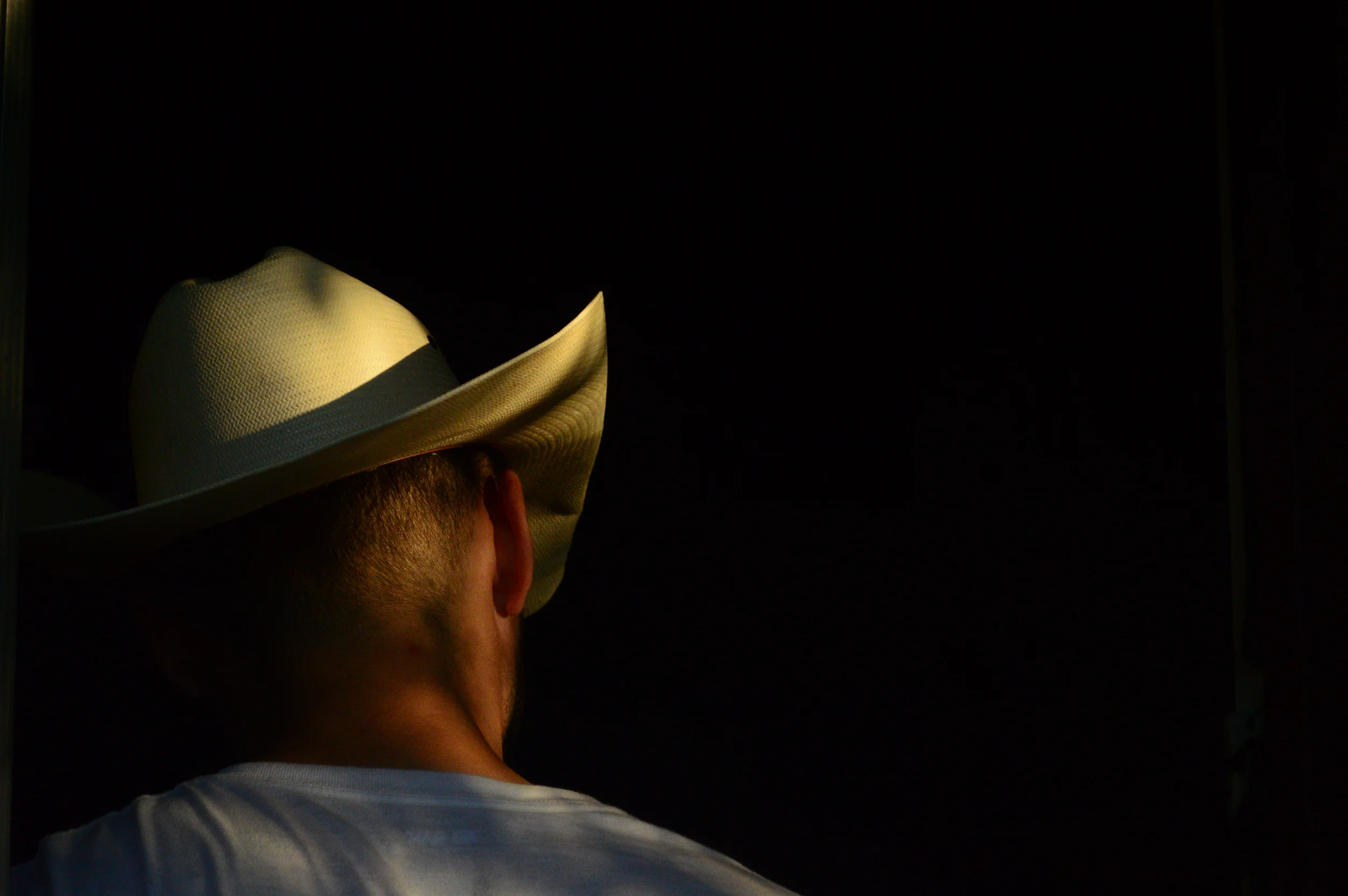 The Goat Shearing.JPG