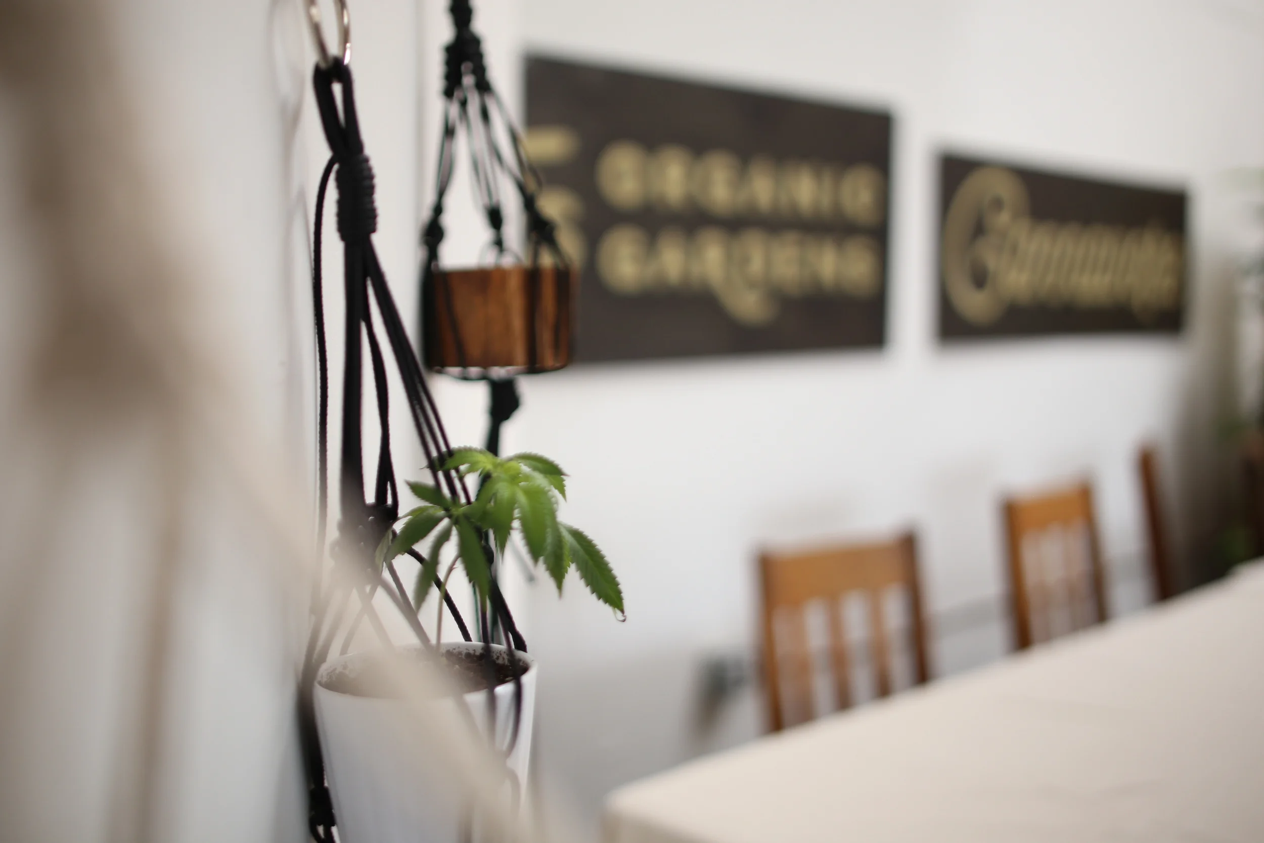 An Inside Look at the First Make &amp; Mary Event