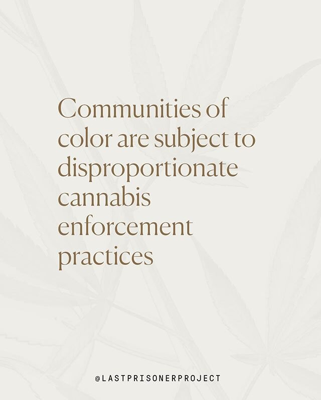 &ldquo;CANNABIS JUSTICE IS RACIAL JUSTICE. Suspected cannabis possession has been used to justify some of the most egregious examples of police violence and murder of Black Americans.&rdquo; - The Last Prisoner Project.
.
 Reflecting on our own indus