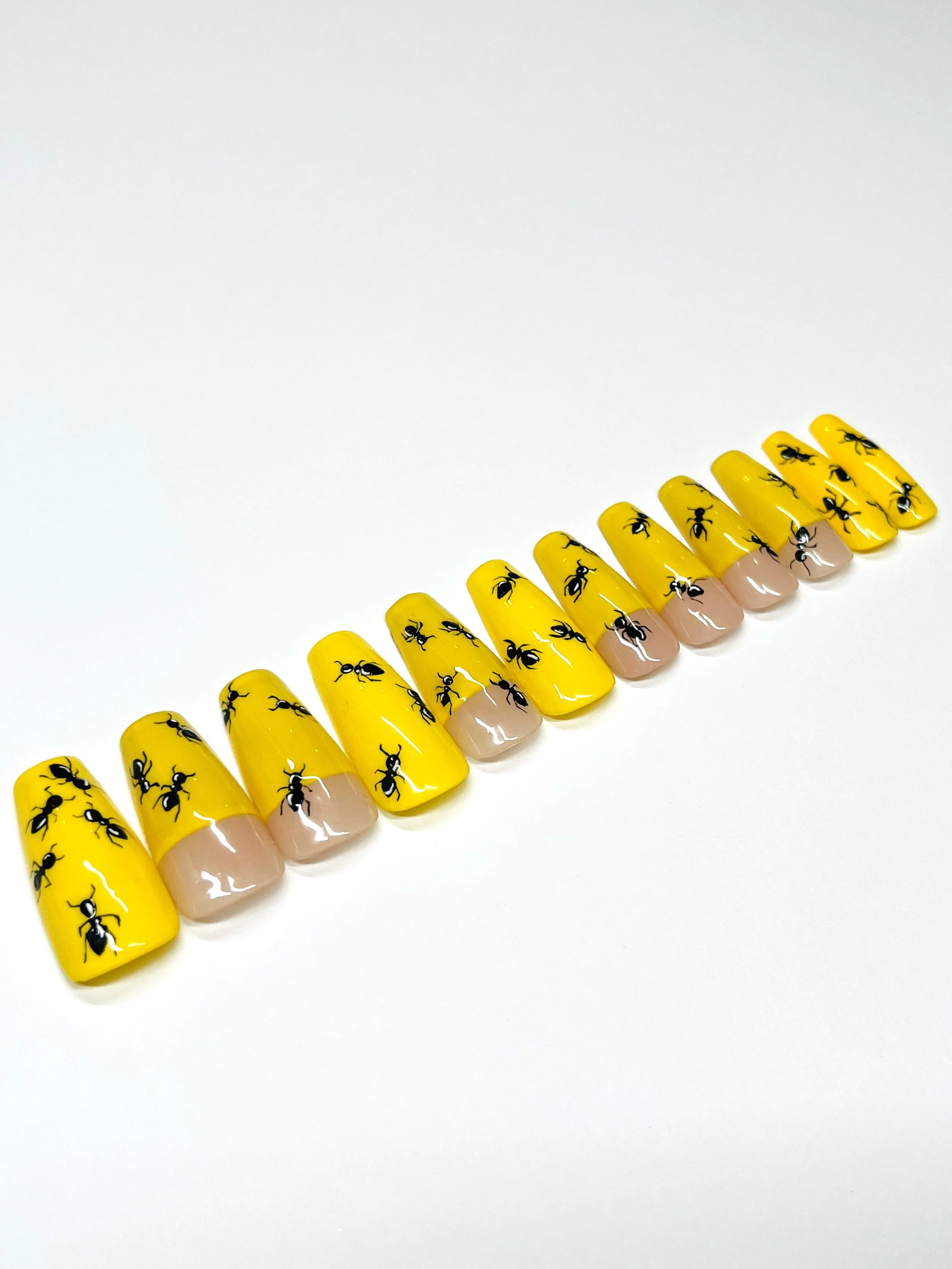 Ants Apres Gel-X Press Ons (Coffin Medium)