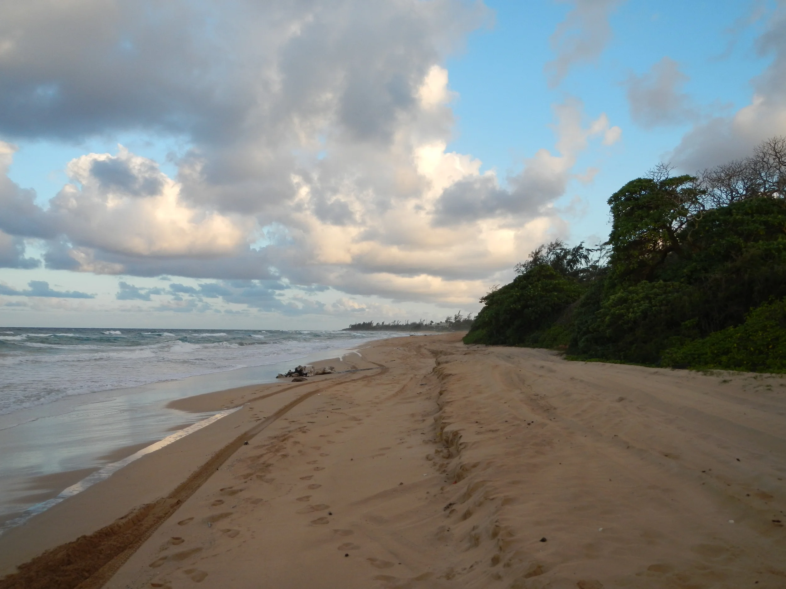 Kauai Beach