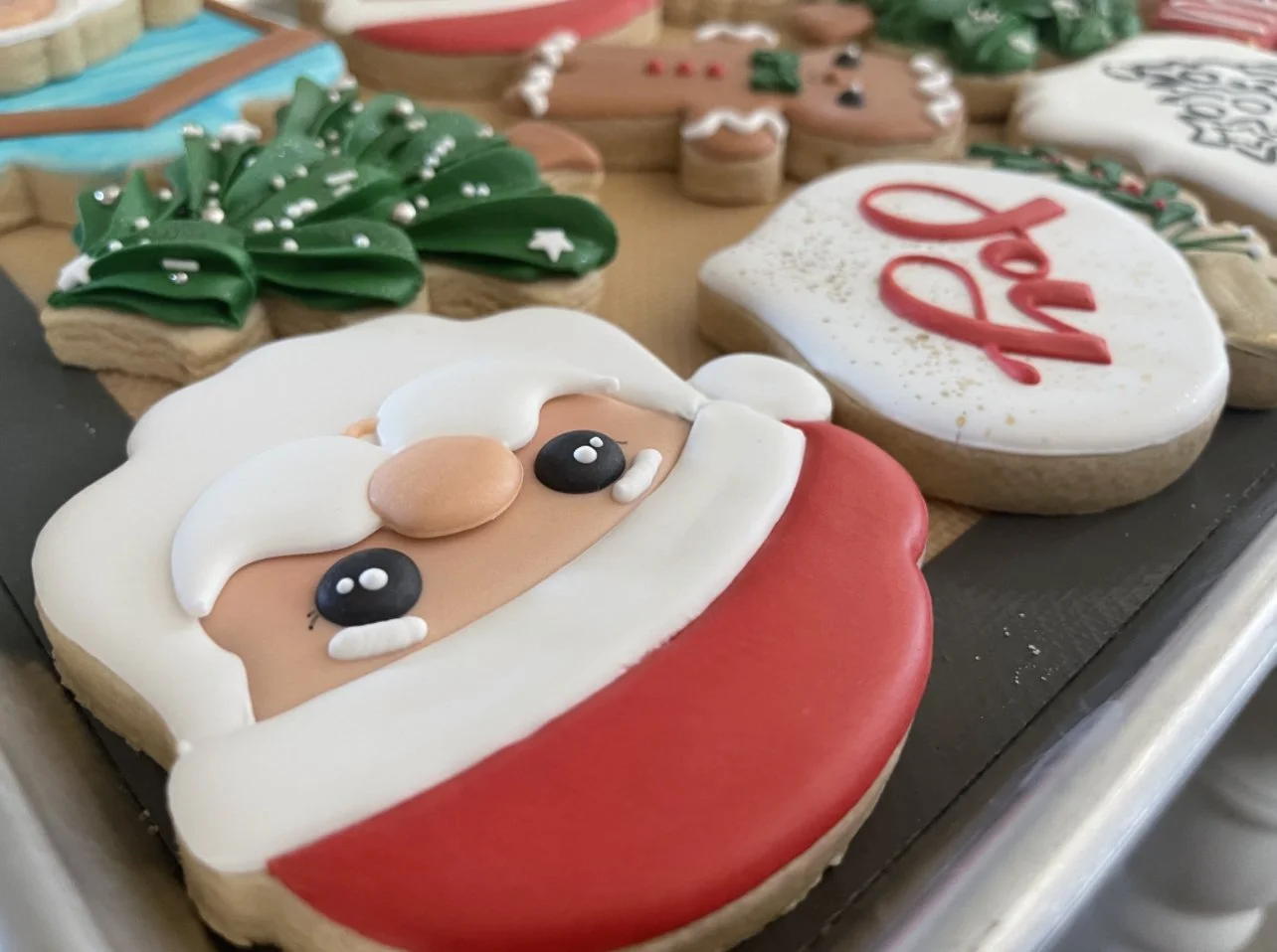 Christmas Closeup with Santa.jpg