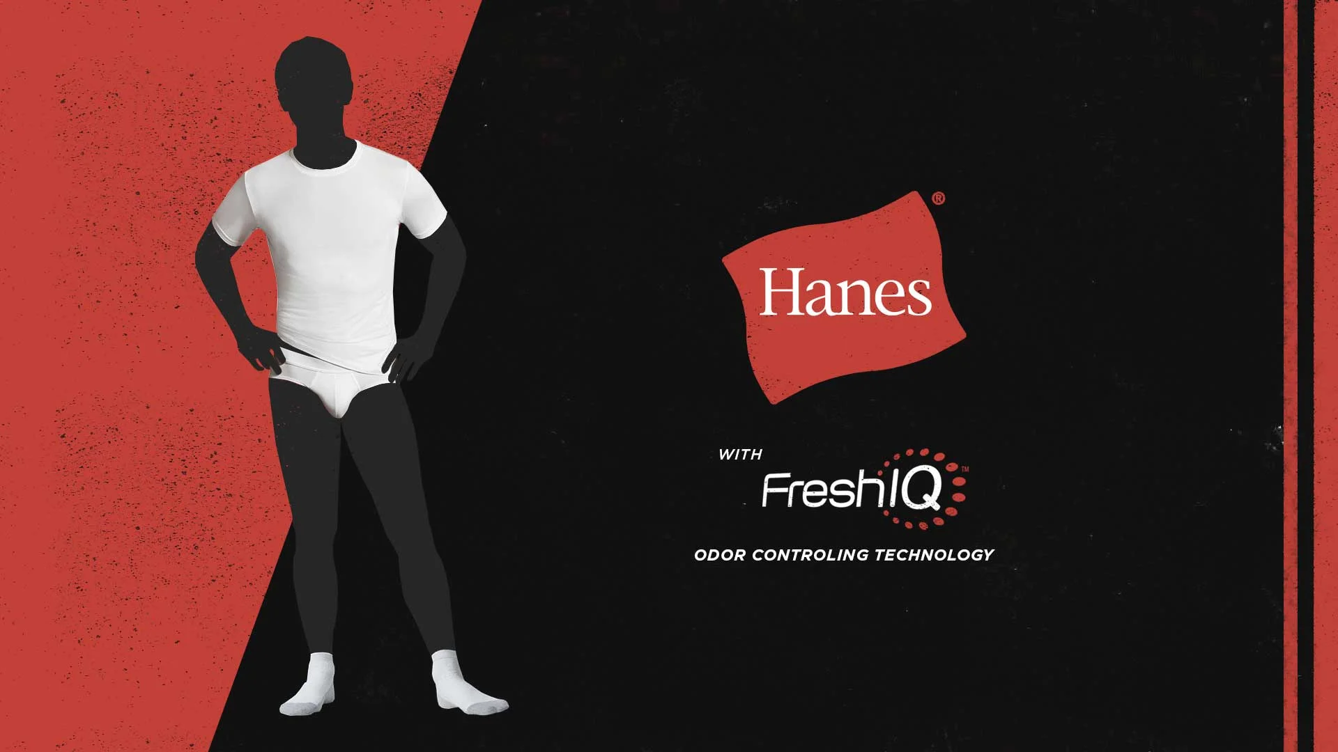 Hanes_08.jpg