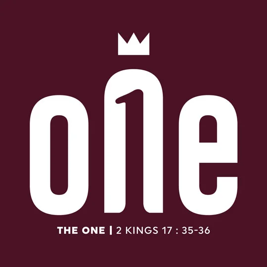 TheOne_a.jpg