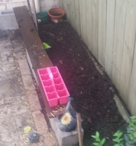 I think a bit of manure got onto the camera lens here... #blurry
