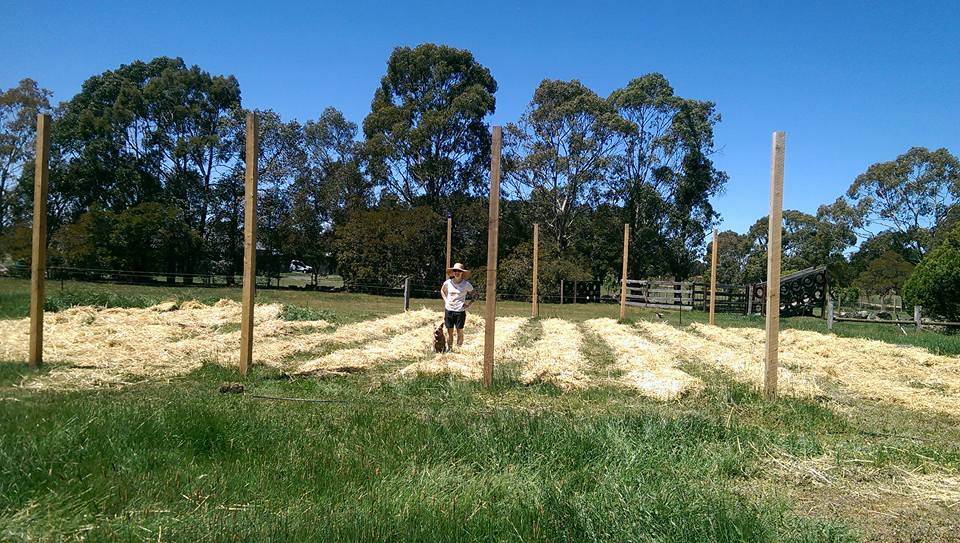 No 7 Clean Energy Planting hops next to our brewery site will allow us to harvest water from the shed roof and dam from rain, gravity feed for watering and doing most work without machines. This allow for a super low carbon footprint as well as possible work for people in the area as the brewery grows. We also plan to get a few solar panels installed to provide for our electrical requiremnets