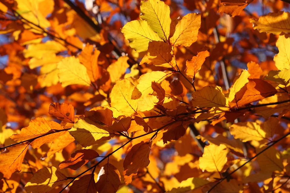 Source: www.freestockphotos.biz