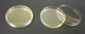 Agar plates... different nutrient bases encourage the growth of different organisms, so you can undertake specific tests to determine the presence of particular bacteria or yeast.