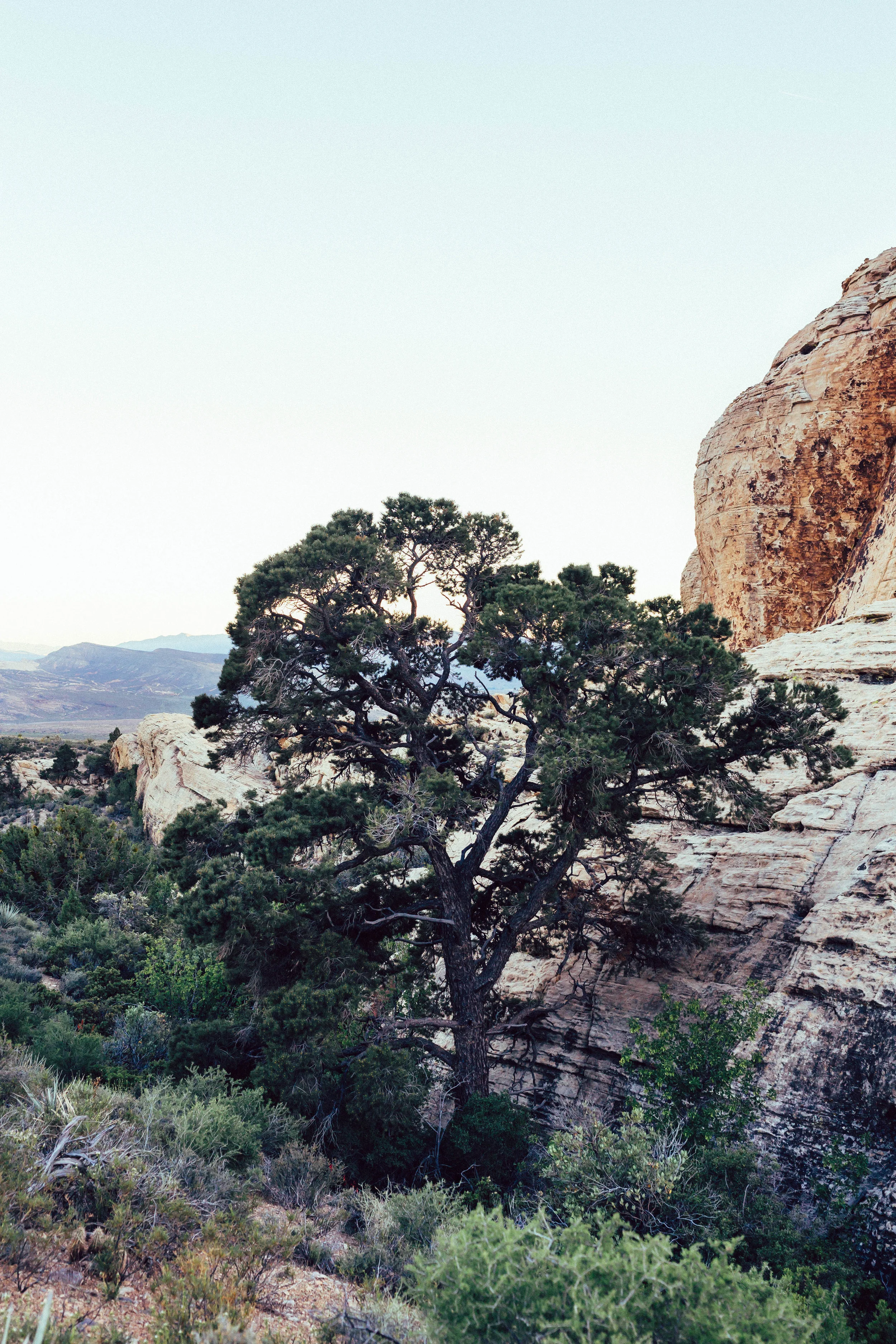 _MG_9049.jpg