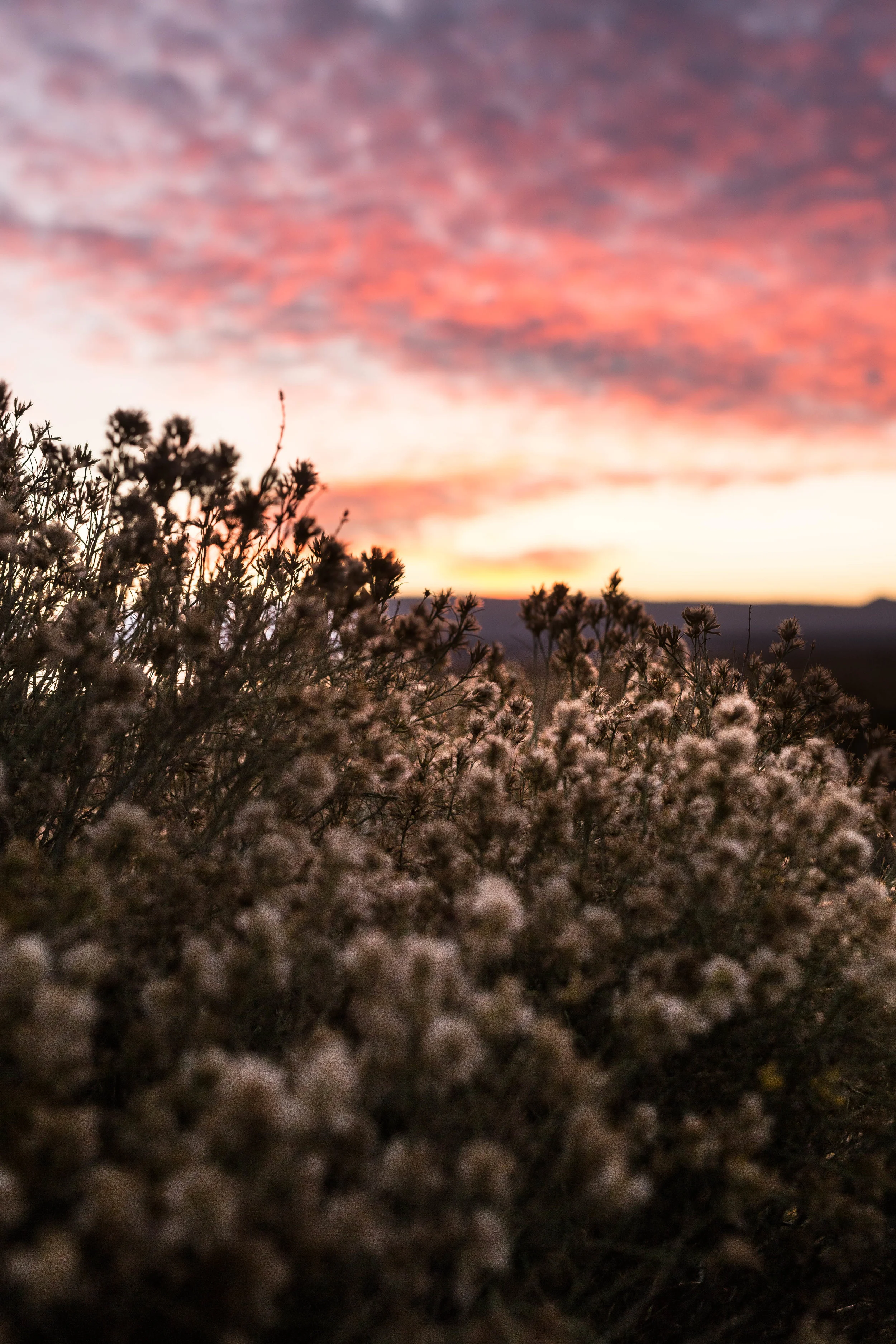 1 California Nat Parks455.jpg