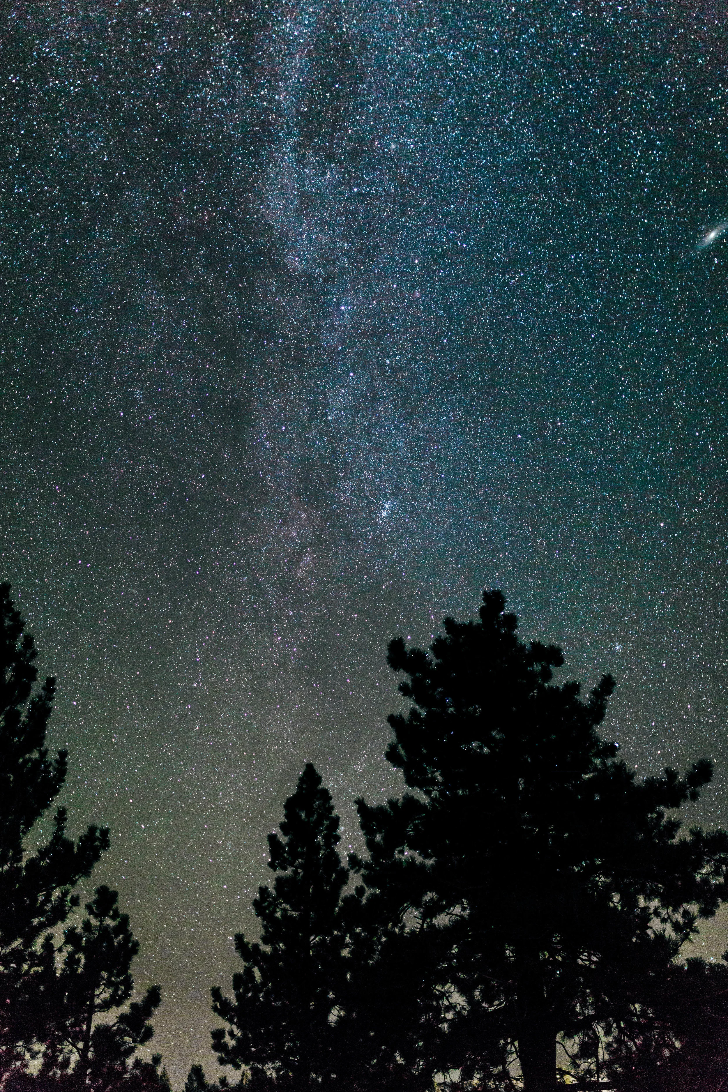 1 California Nat Parks336-2.jpg