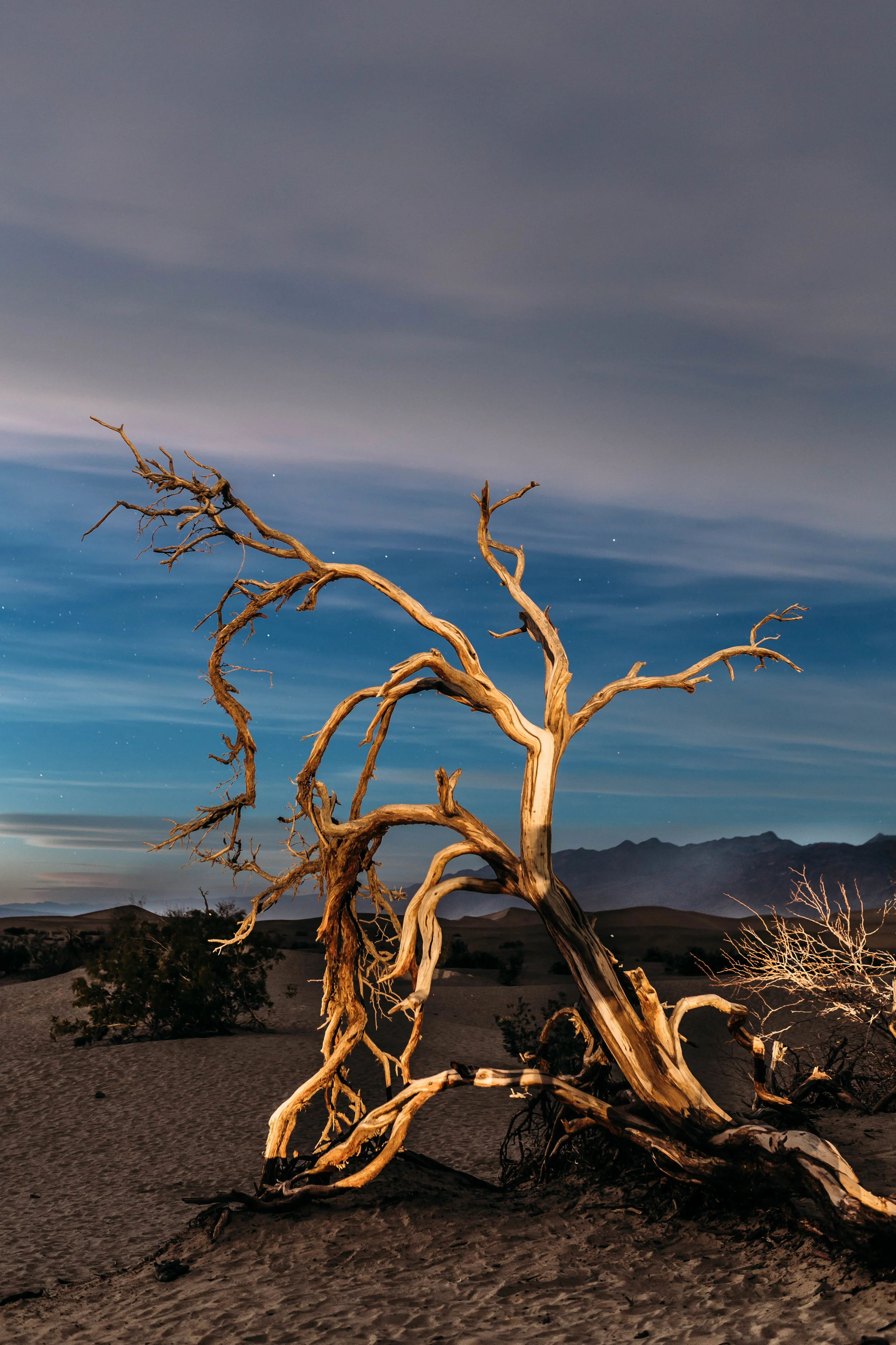 DeathValleyMarch200-2.jpg