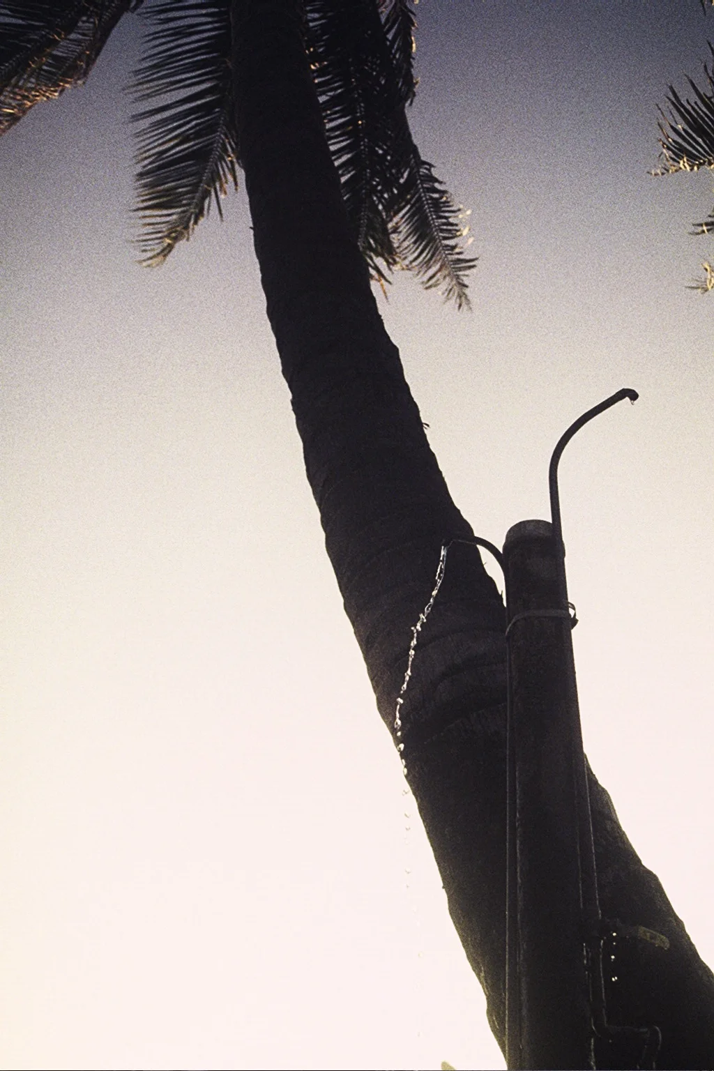 9411_15.jpg