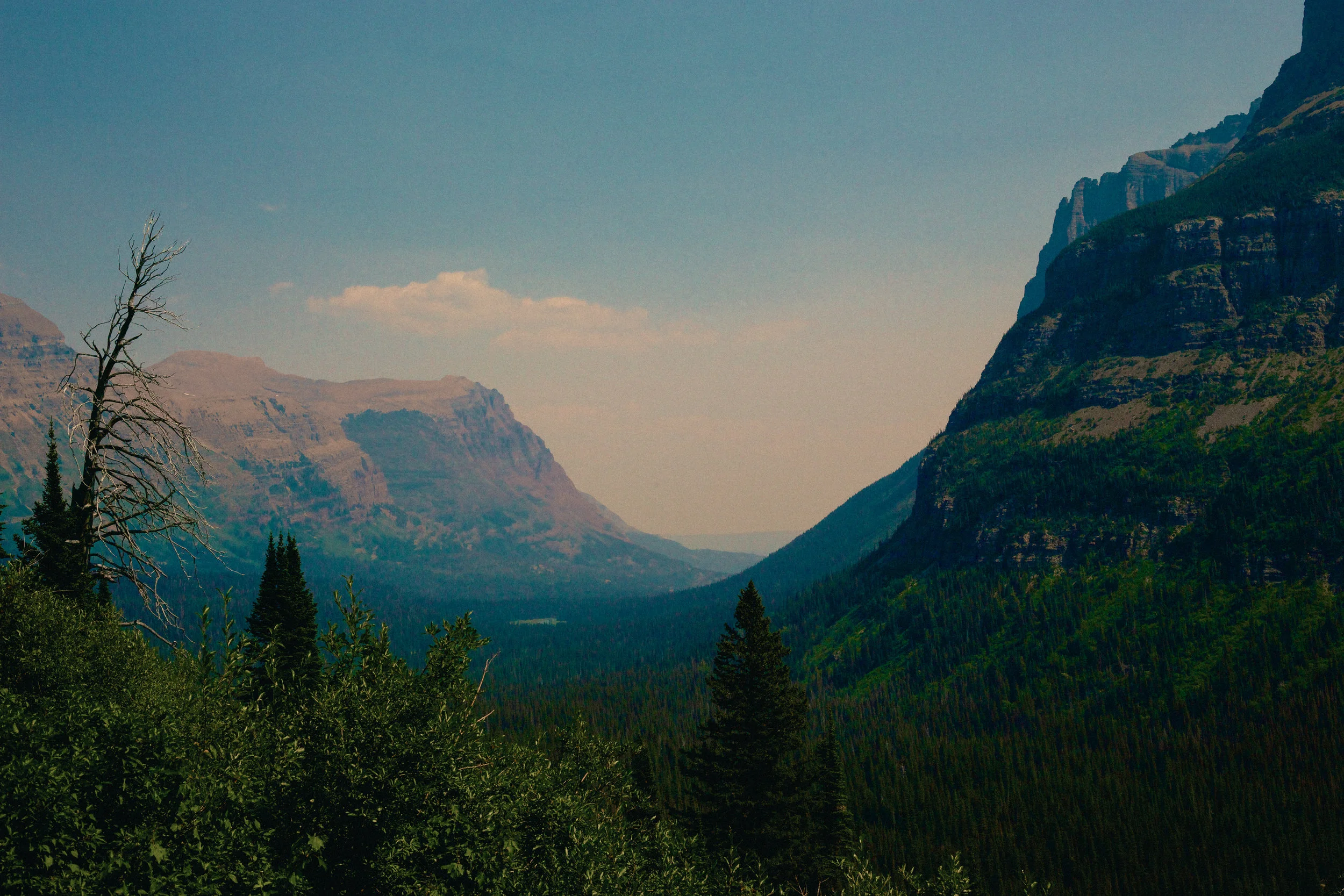 montana-8.JPG