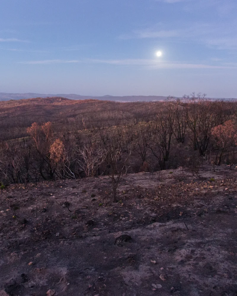 Moonrise by Geoff Borg - Intro to Photography.jpg