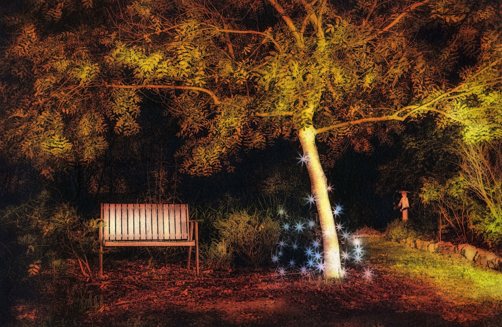 Golden_Tree_Sara_Huffen 1000px.jpeg