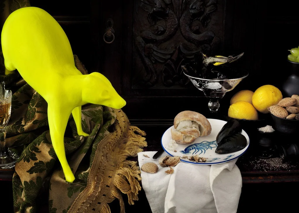 Image: CJ Taylor , Still life with possum, mussels and New Holland Honeyeater, 2011, Pigment Print mounted to Acrylic Glass, edition of 5, 70 x 65 cm, courtesy of the artist and THIS IS NO FANTASY, Melbourne.
