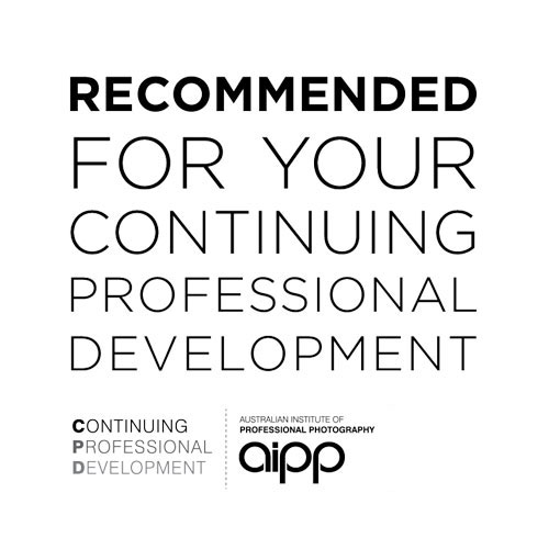AIPP Professional Development.png