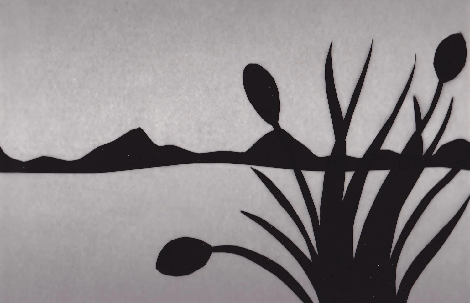 Photogram 1 by Raelene Berry - Handmade Photos