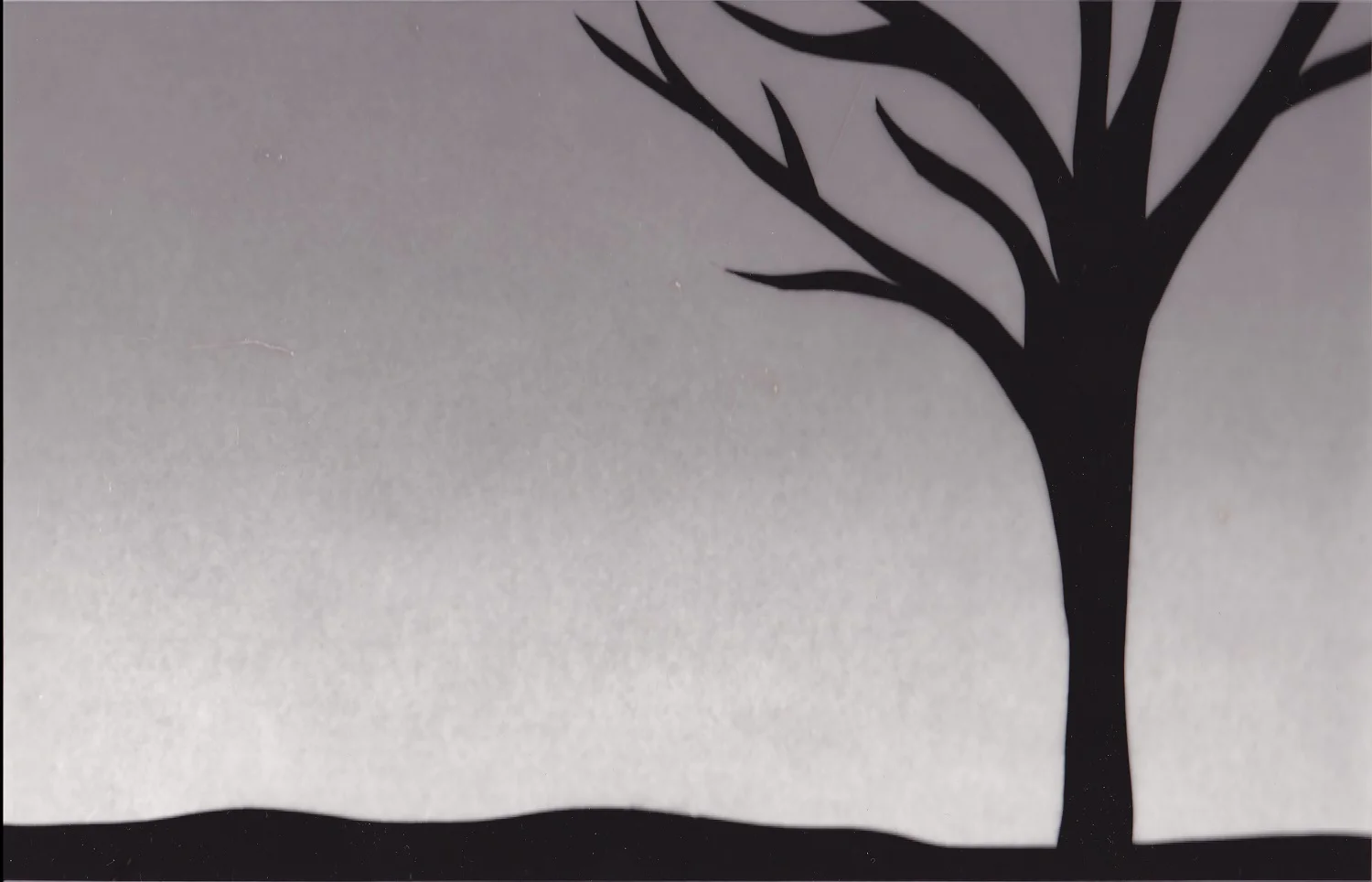 Photogram 2 by Raelene Berry - Handmade Photos