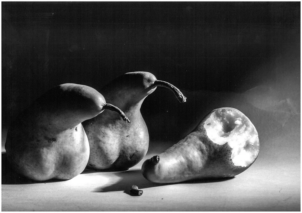Is He Dead by Trish Sims - Introduction to the Studio