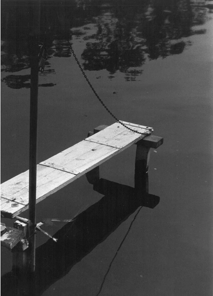 Bridge by Trish Sims - Introduction to the Darkroom
