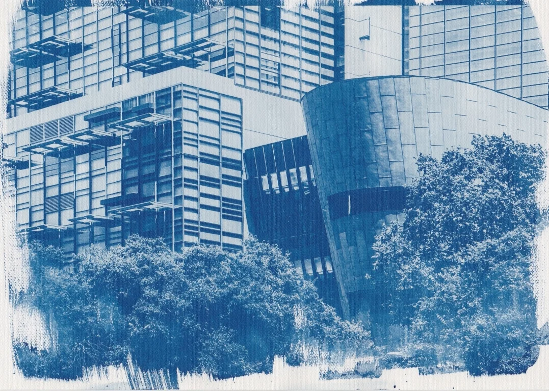 Untitled (Cyanotype) by Dino Proctor - Advanced Darkroom