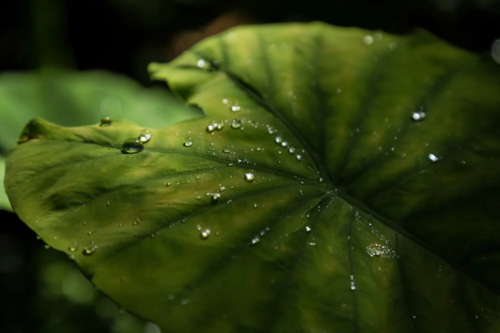 Untitled by Maddi Dick - Introduction to Photography
