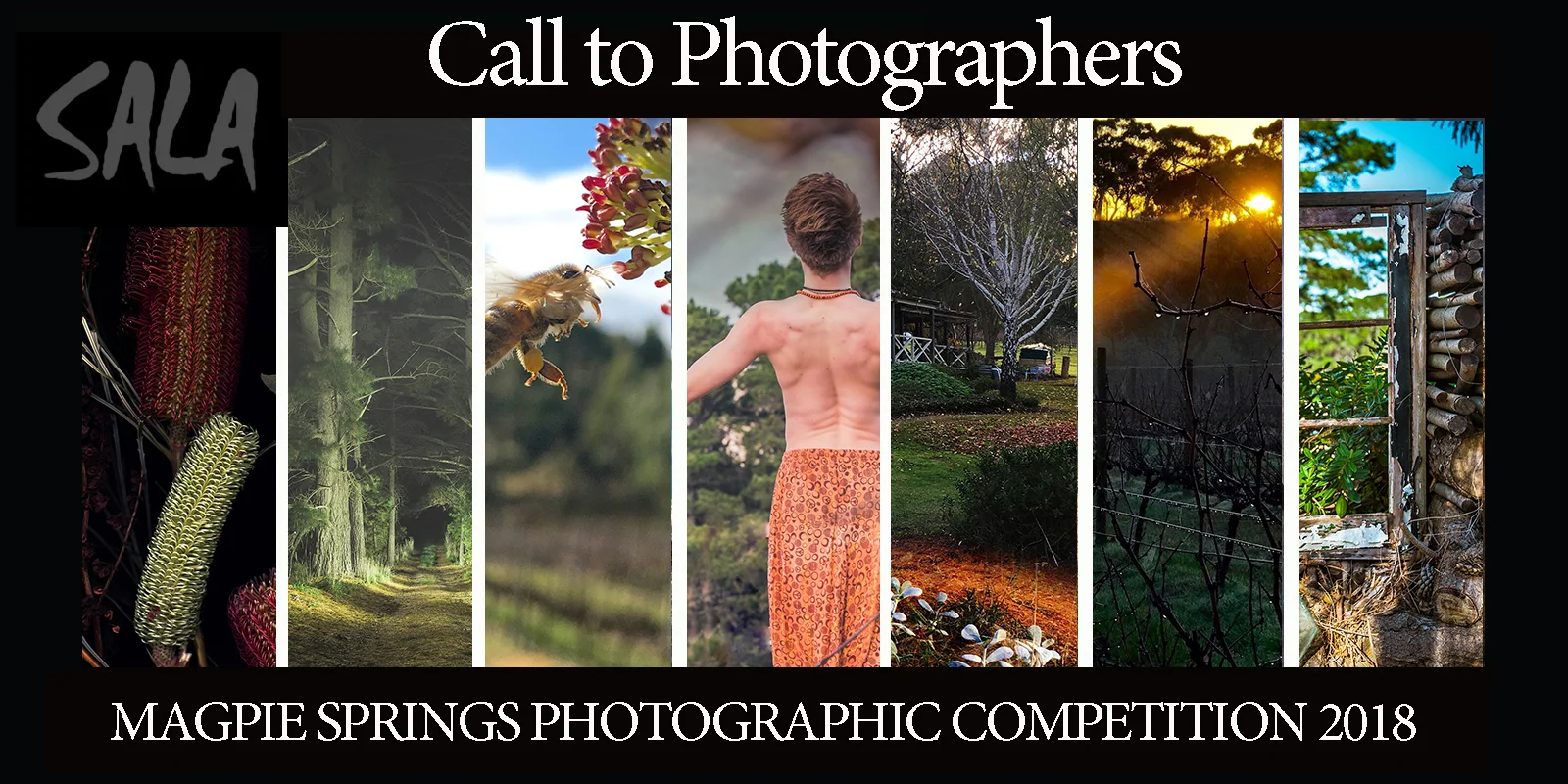 Magpie-Springs-Photographic-Competition-2018