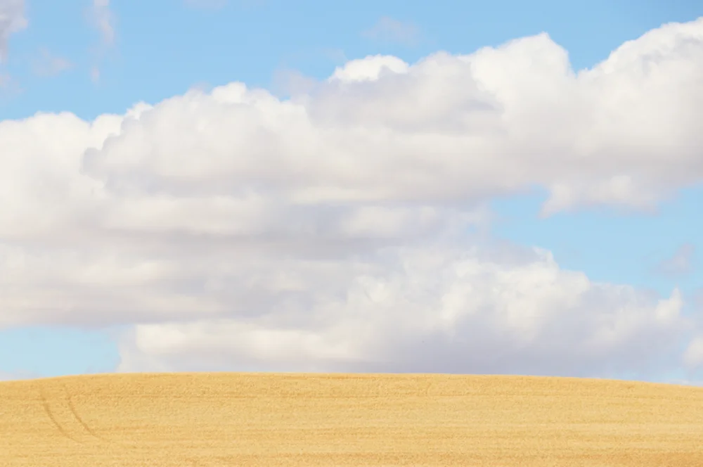 The Middle Of Somewhere by Lauren Schwarz - Creative Camera B