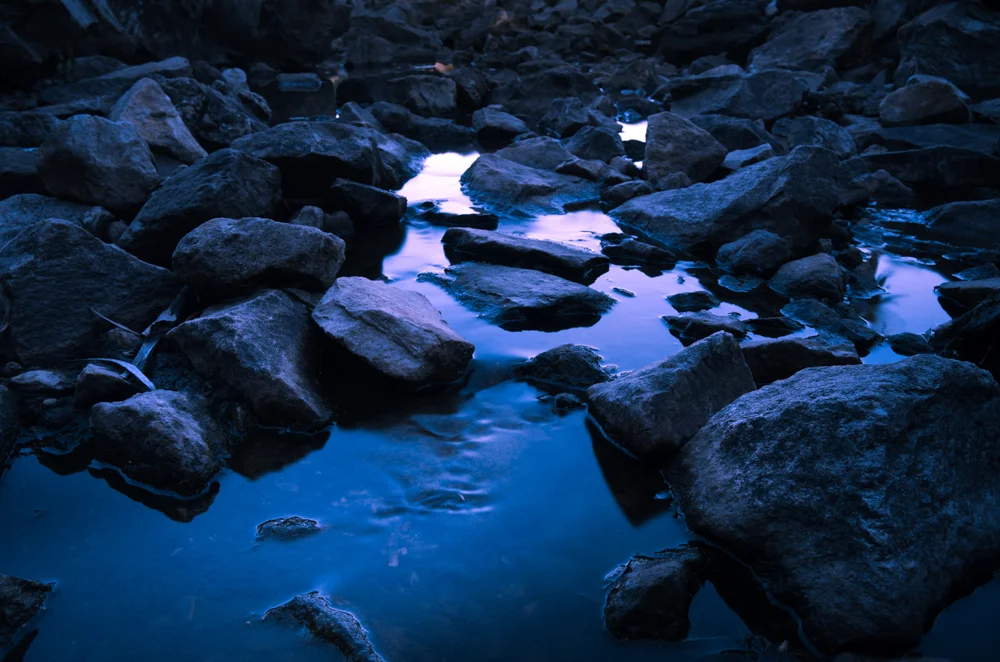 Untitled by Danilo Mastropierro - Introduction to Photography