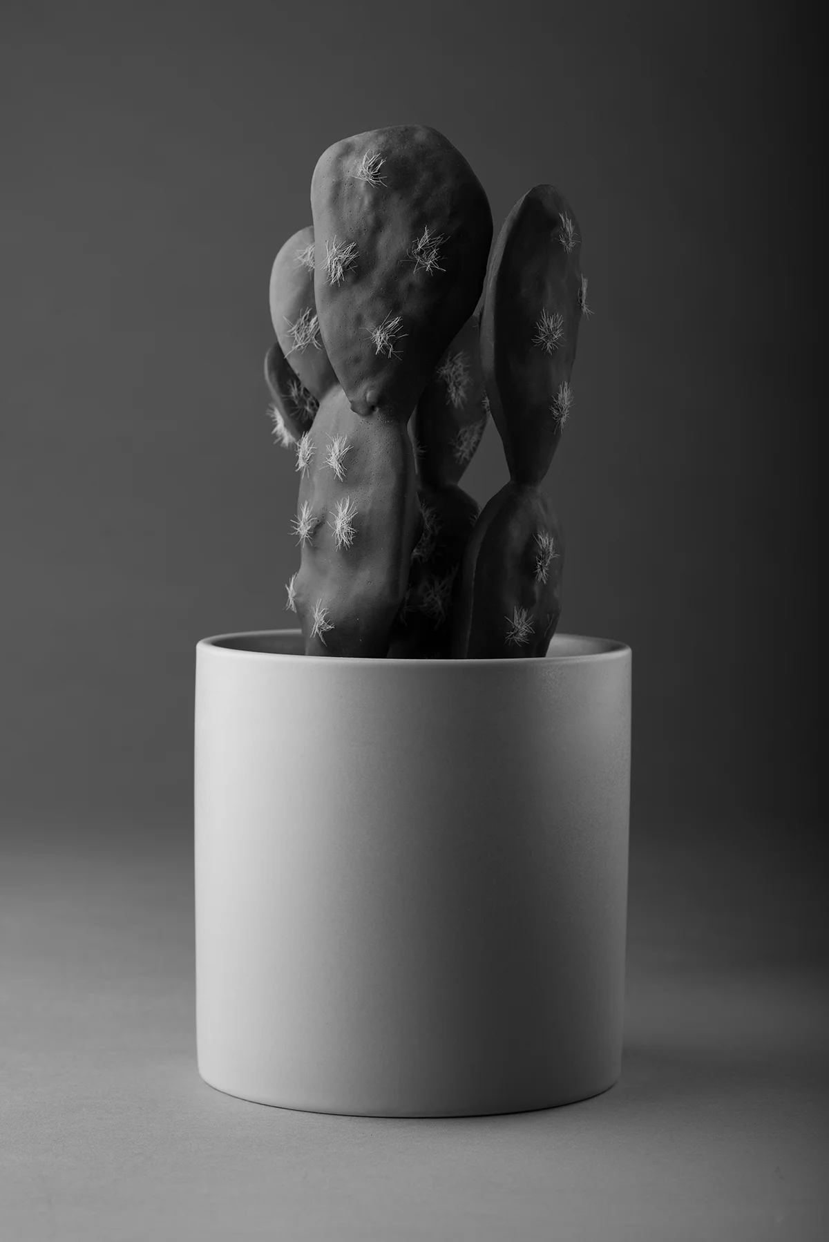 Untitled by Fruzsina Szakaly – Introduction to the studio