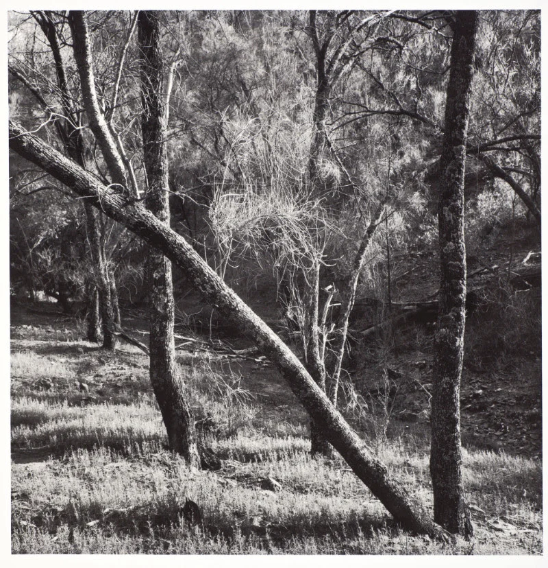 michal-land-and-light-exhibition-2018