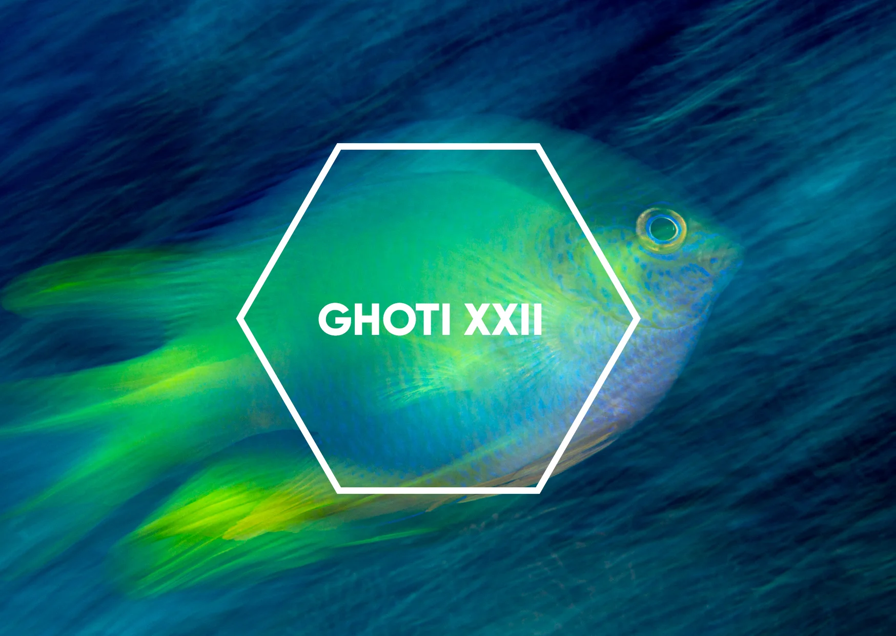 GHOTI-XXII-2018-Centre-for-Creative-Photography-Student-Show-2019