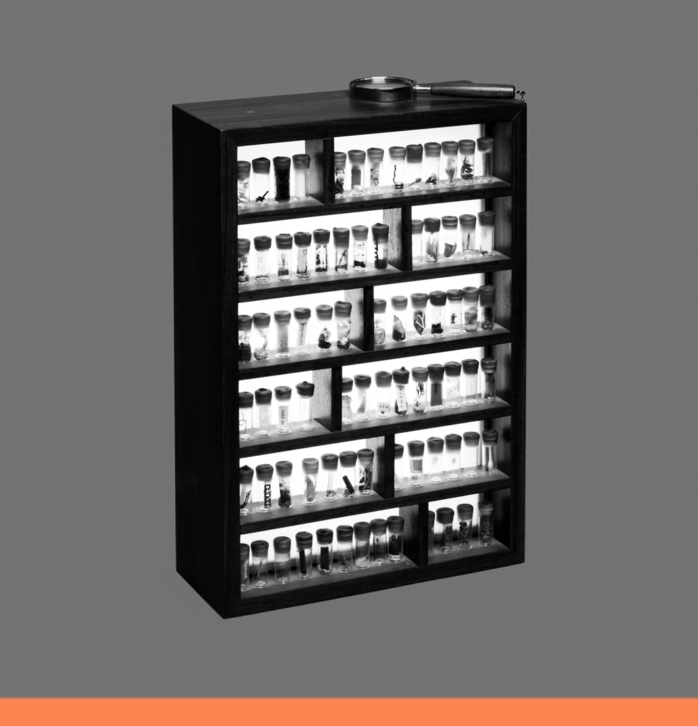 Photographic Concepts 3.jpg