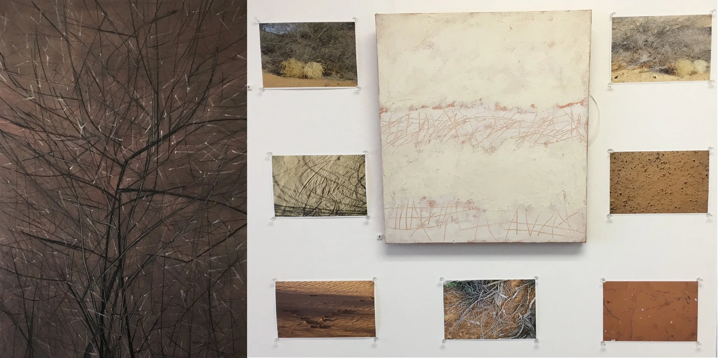 scrubby-tree-juxtaposed-with-nature-details-light-gallery-exhibition