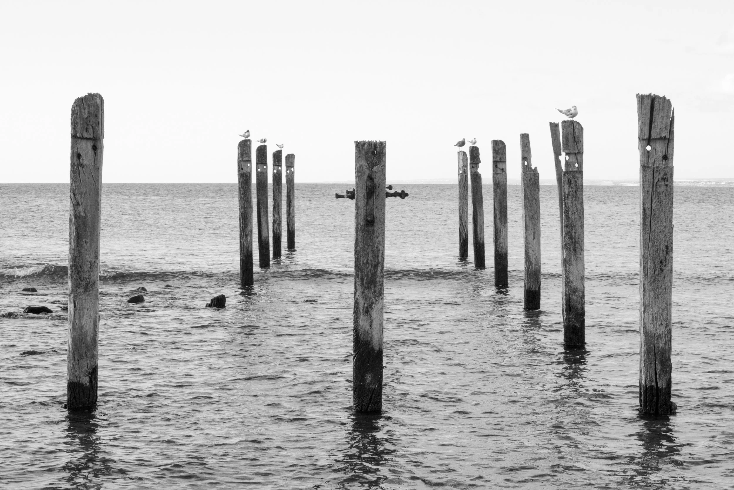 Jetty Ruins B&W.jpg