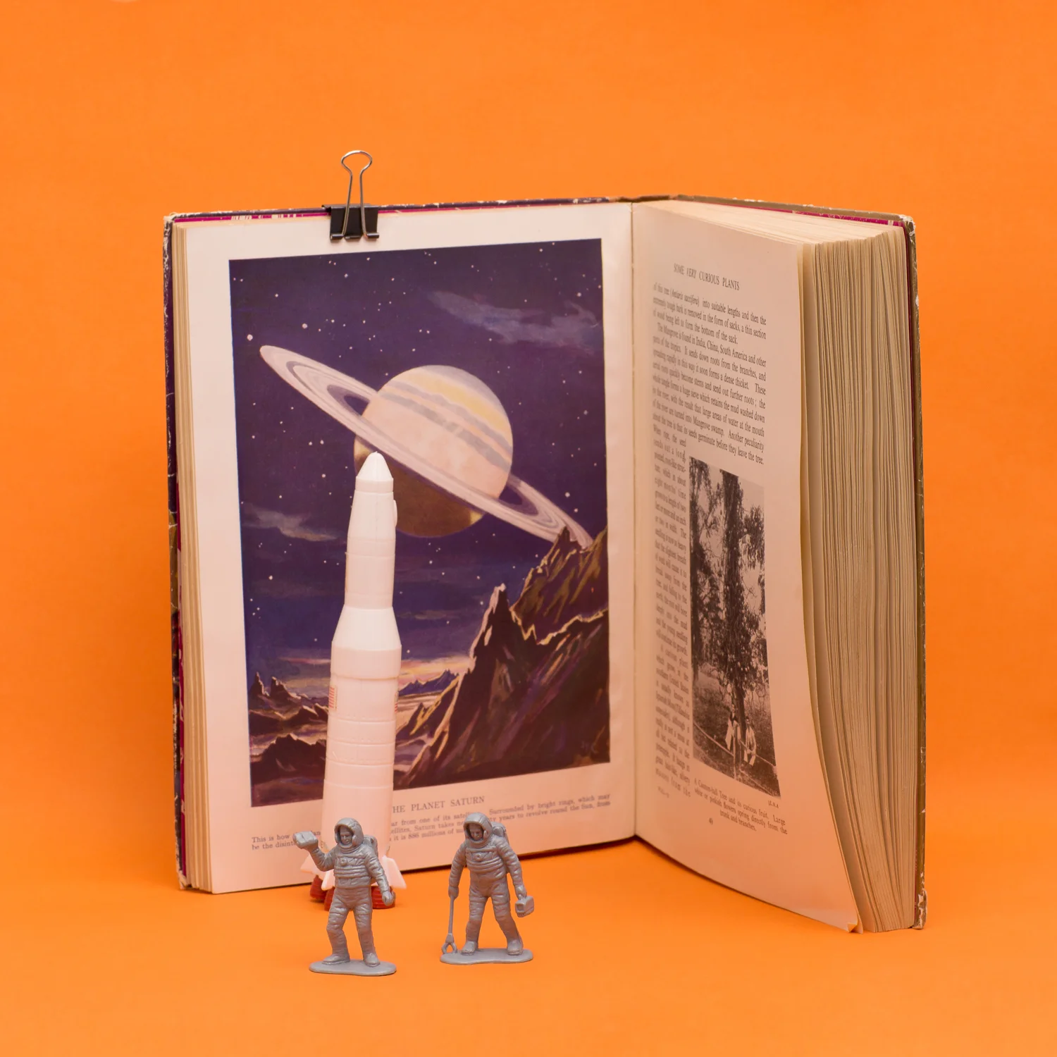 creative-camera-b-vet-in-sace-centre-for-creative-photography