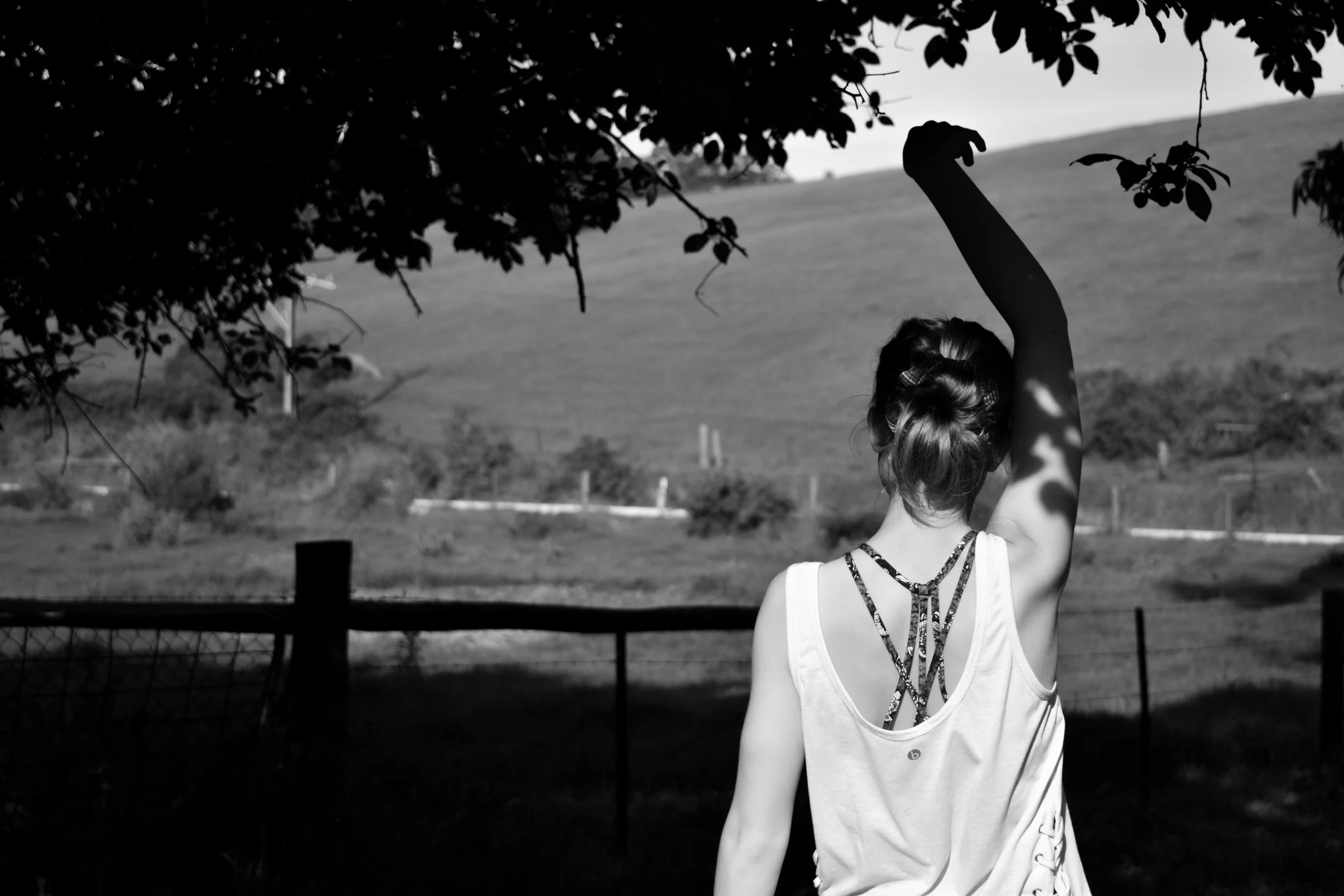 Photograph by VET in SACE Student Bethia Holton