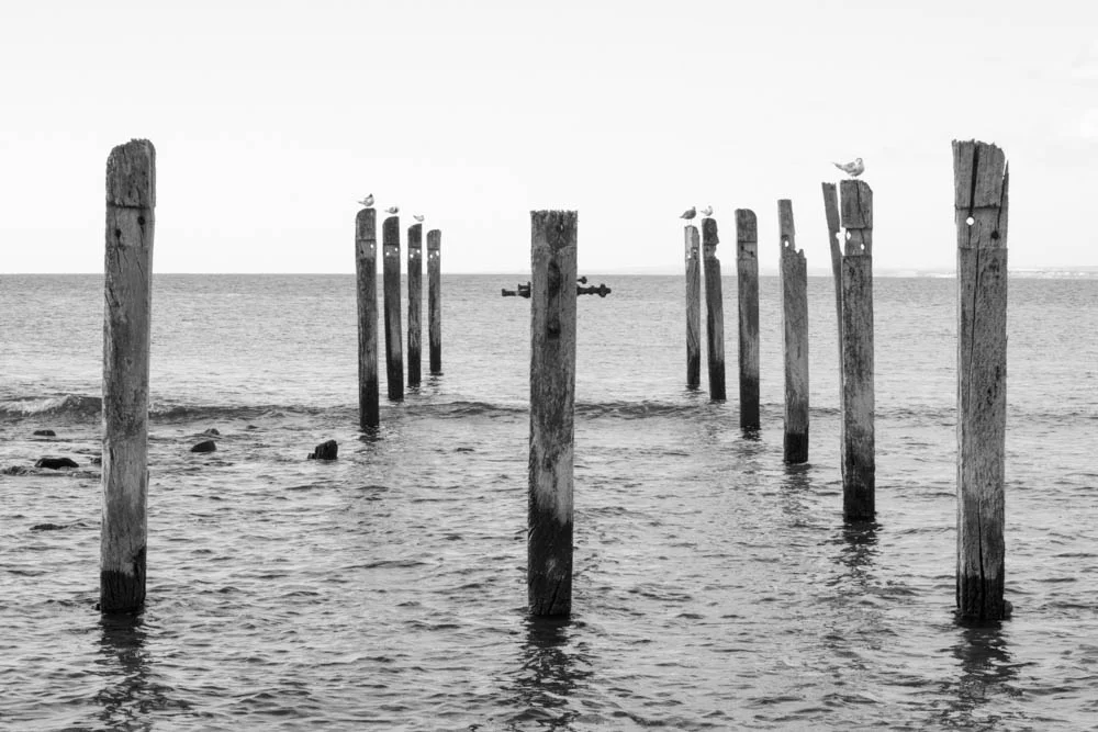 Photograph by VET in SACE student Tiana Potts