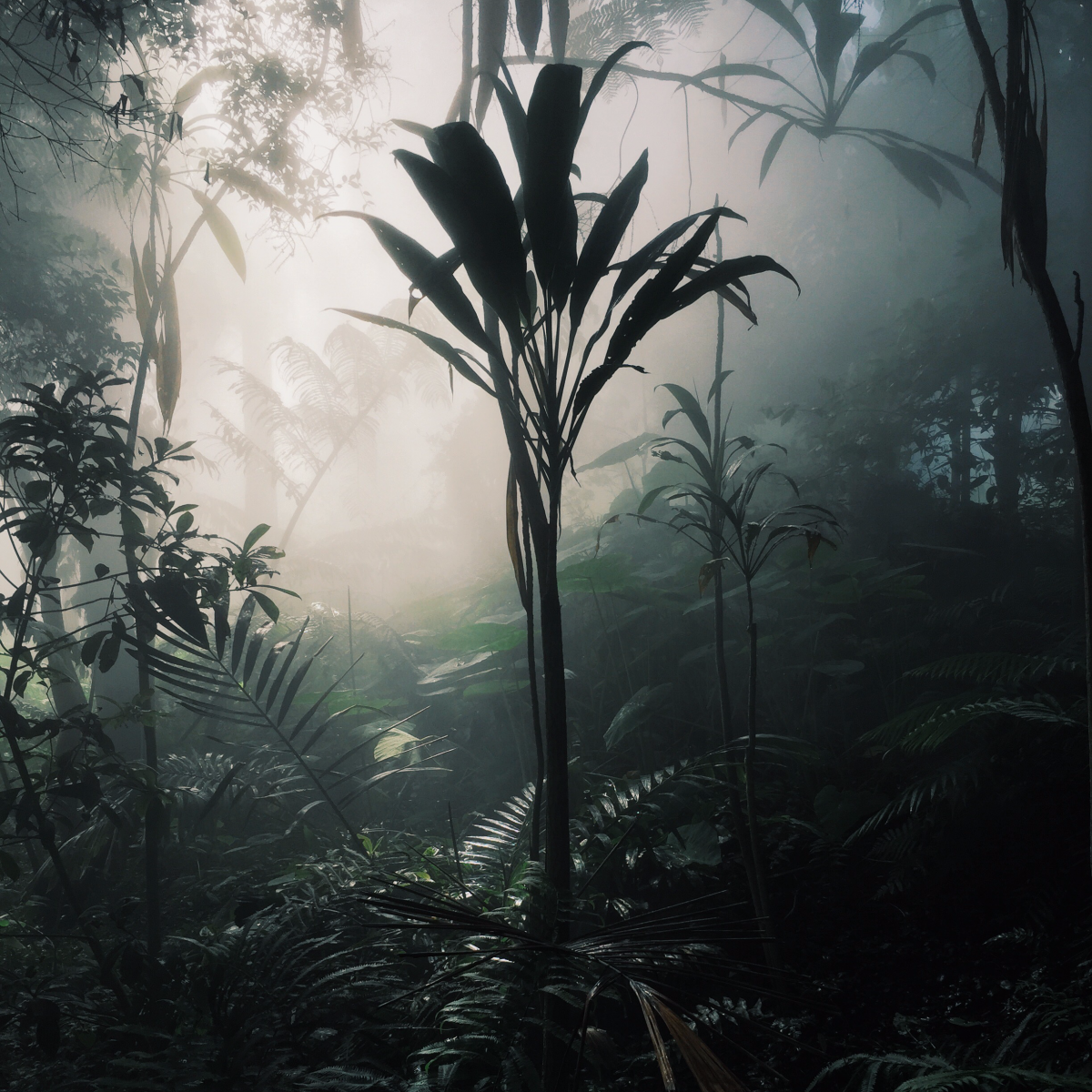 joseph-haxen-botanicals-at-the-bridgewater-mill