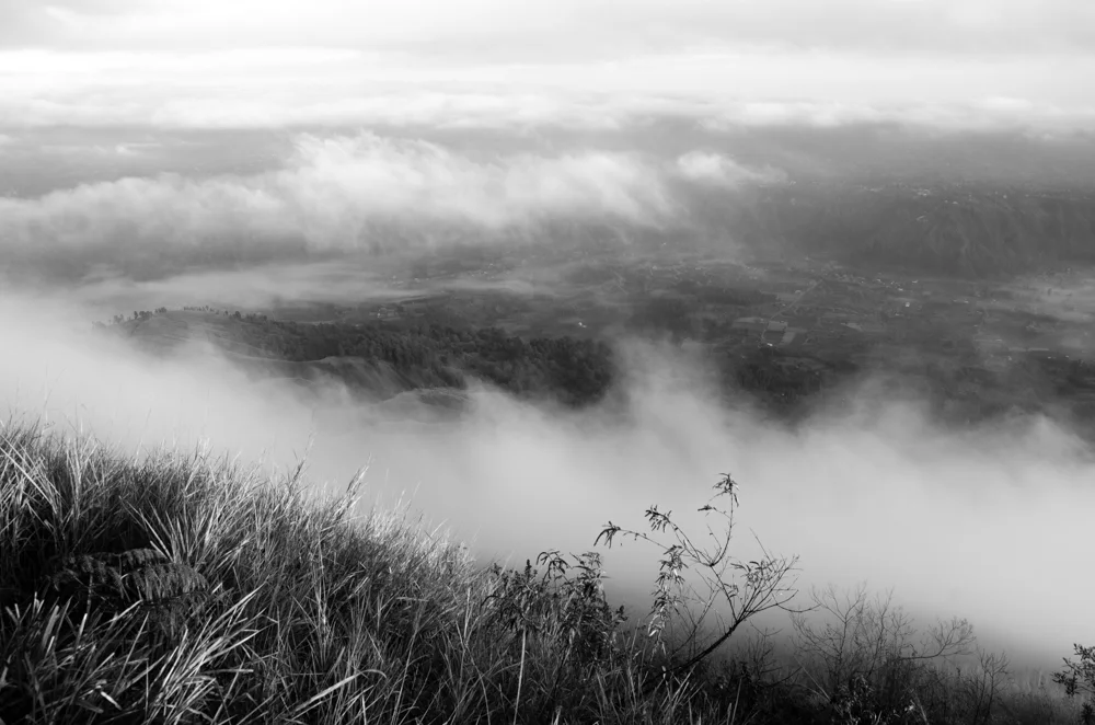 Untitled by Renee Carr - Introduction to Photography