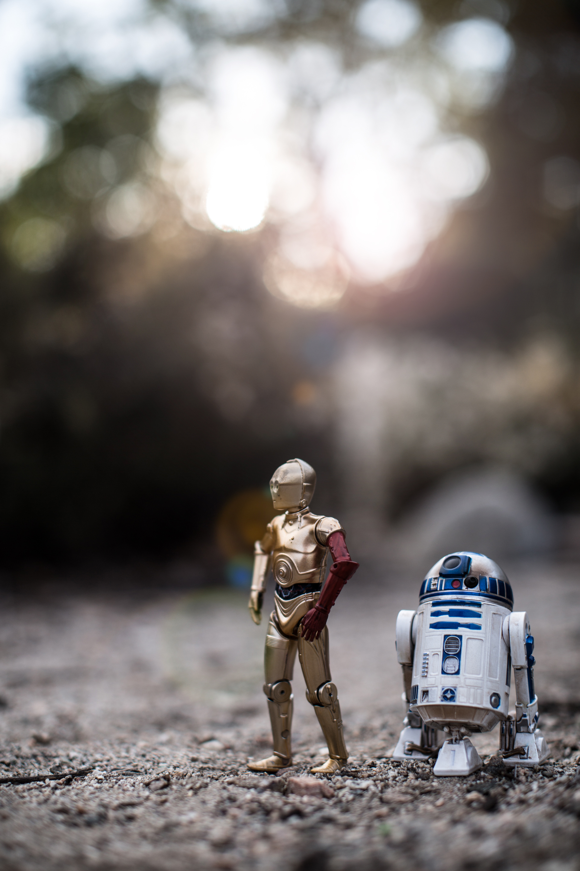 The droids you're looking for