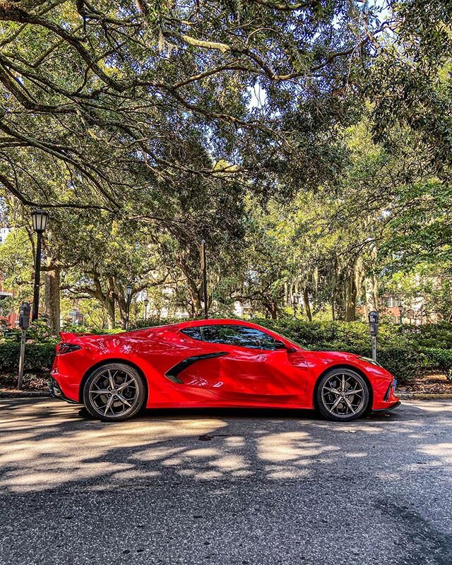 First mid engine corvette I&rsquo;ve seen in the wild just chilling under the Spanish moss. The jury is still out for me on this new look but still cool to see in the wild. #corvette #midenginecorvette #savannahgeorgia